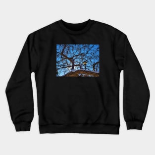 Lamp Post in the Trees Crewneck Sweatshirt